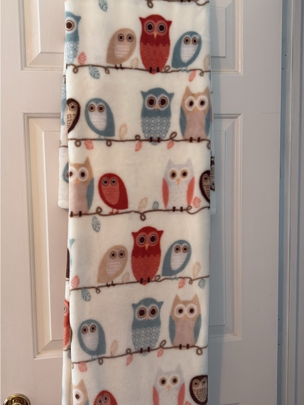 Doma Plush Throw Blanket with Cream, Blue and Red Owl Motif